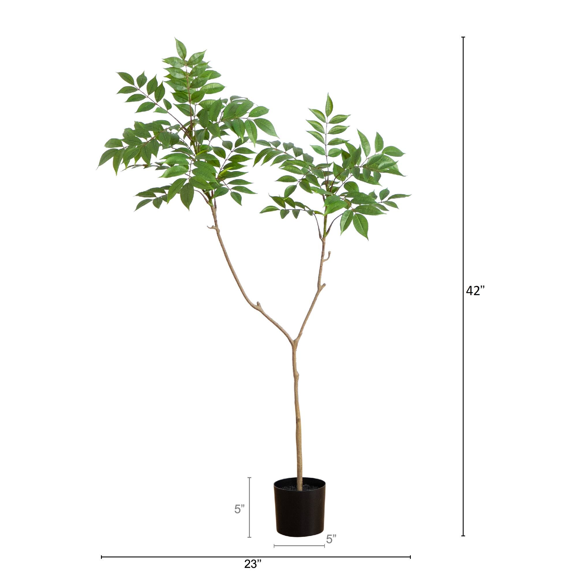 3.5ft. Potted Sumac Tree